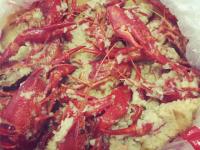 云开体育 -croogla4f字体下载