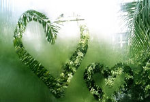 开云体育官网 -济南到亚特兰大的机票